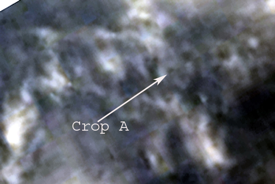 Crop A from Crop H